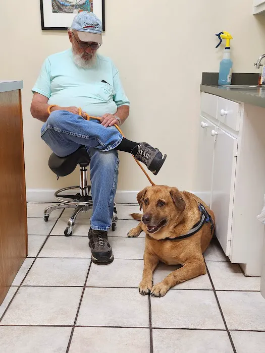 Neuse Veterinary Clinic Picture 7