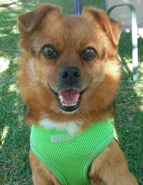 Animal Care Center Veterinary Hospital Picture 9