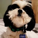 Thunder Road Veterinary Services, LLC