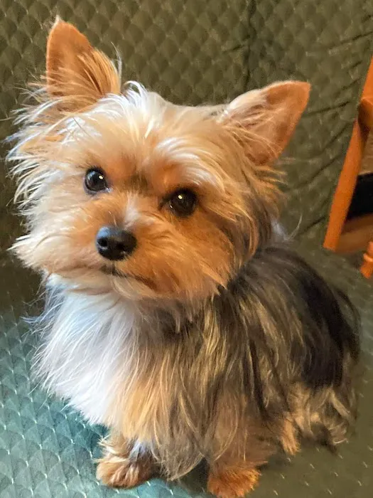Harlan Animal Hospital Picture 1
