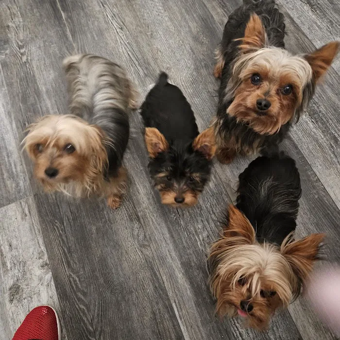 Harlan Animal Hospital Picture 6