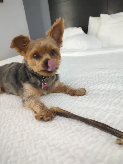 Harlan Animal Hospital Picture 7