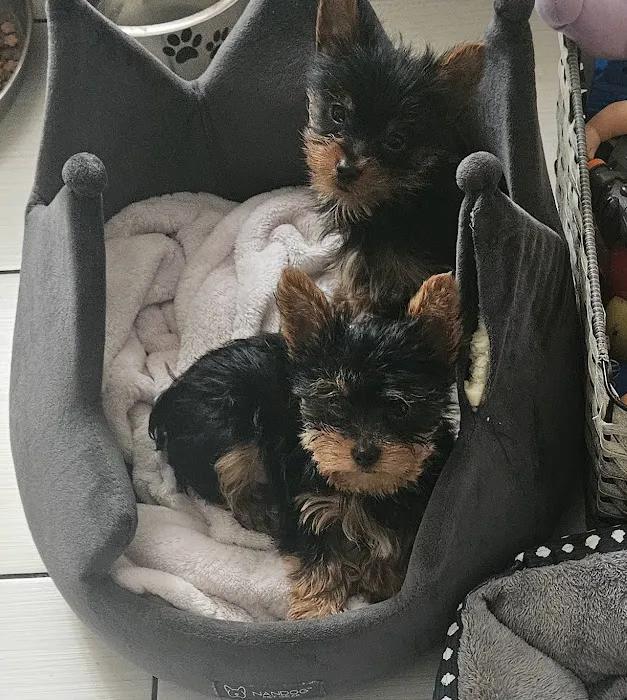 Harlan Animal Hospital Picture 8