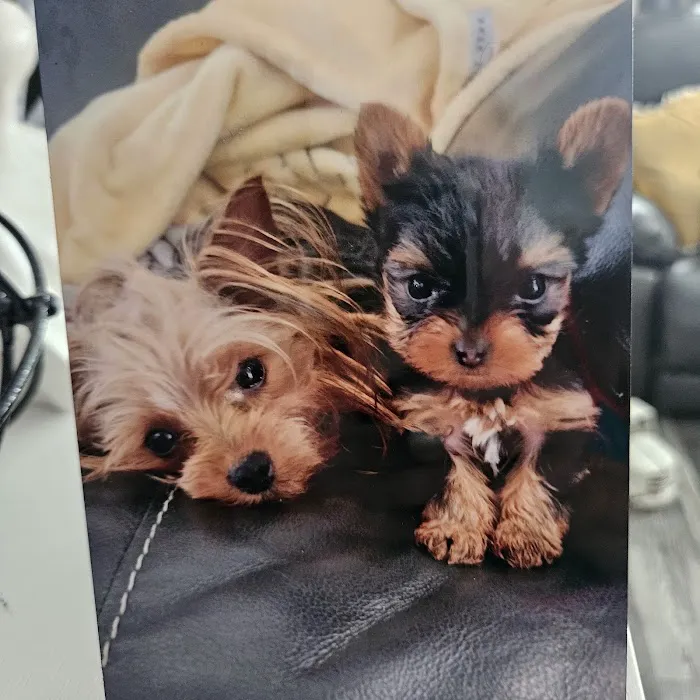 Harlan Animal Hospital Picture 9