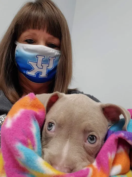 Harlan Animal Hospital Picture 10