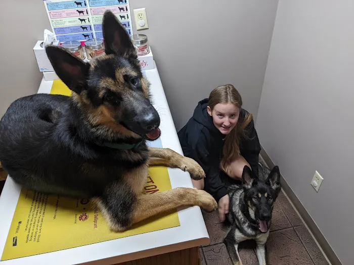 Rutledge Animal Clinic Picture 2