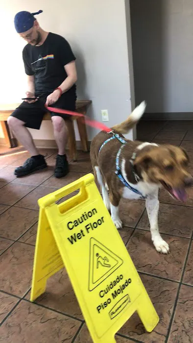 Rutledge Animal Clinic Picture 3