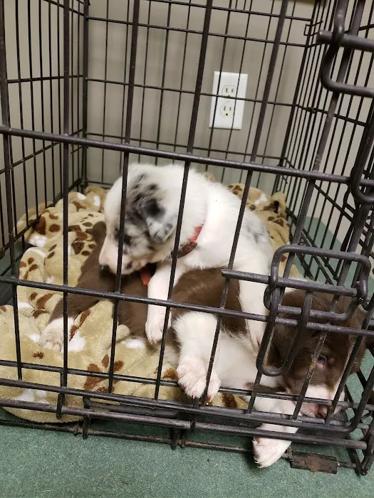 Union County Animal Hospital Picture 2