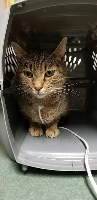 Union County Animal Hospital Picture 4