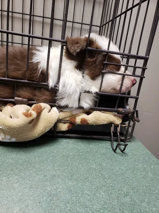 Union County Animal Hospital Picture 7