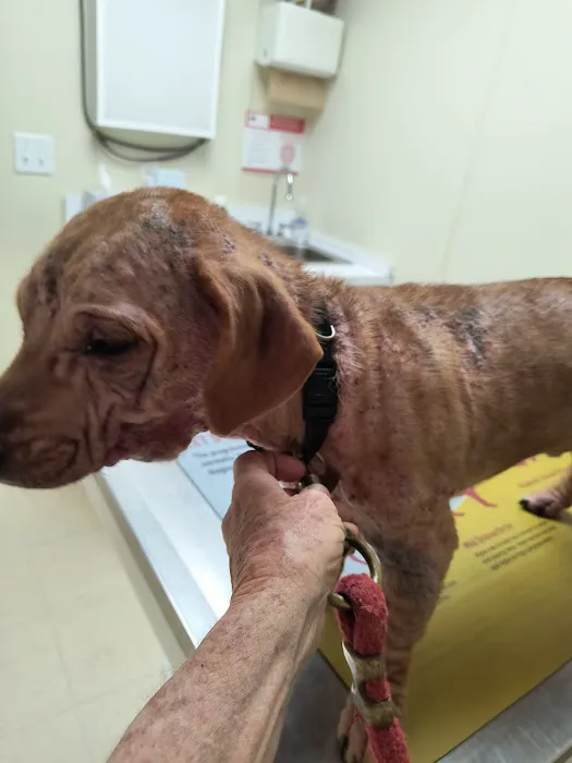Lee County Animal Hospital Picture 2