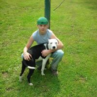Lee County Animal Hospital ico