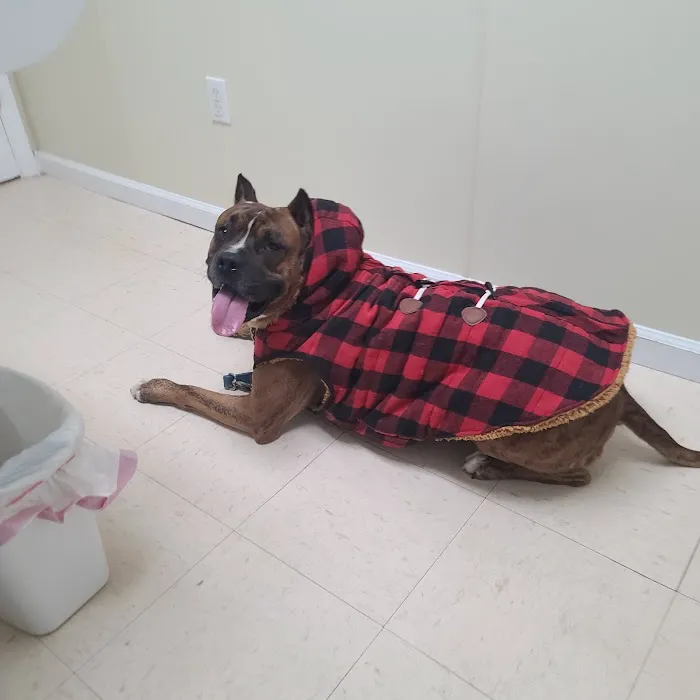 Lee County Animal Hospital Picture 5