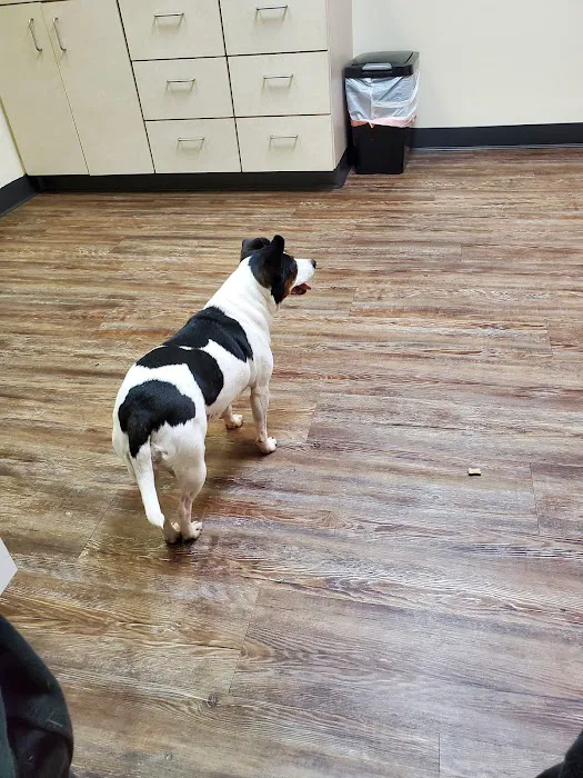 Blaine Veterinary Clinic Picture 1