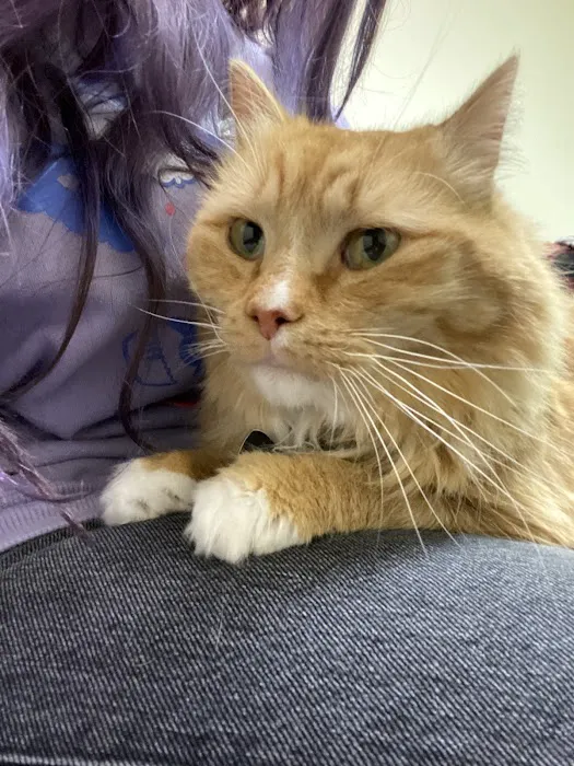 Blaine Veterinary Clinic Picture 4