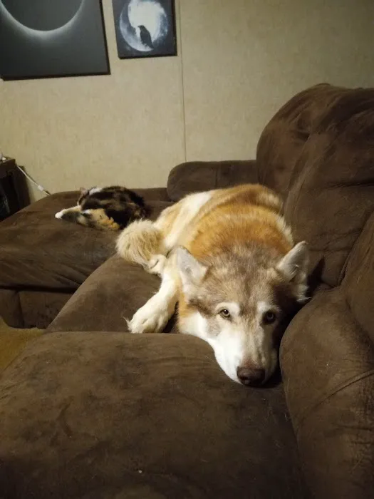 Blaine Veterinary Clinic Picture 9