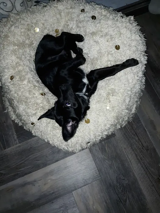 Anderson County Animal Hospital: Roberts Tara DVM Picture 3