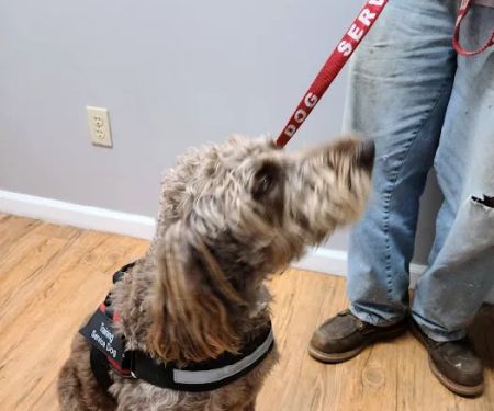 Anderson County Animal Hospital: Roberts Will DVM