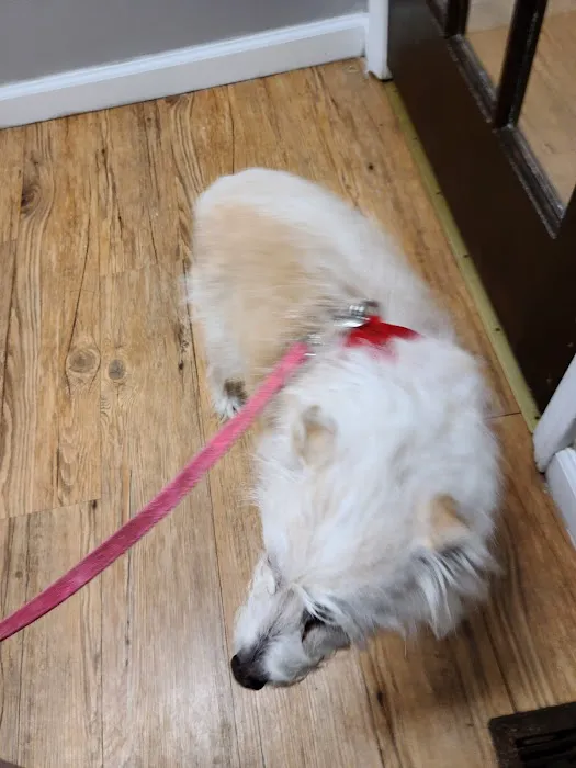 Anderson County Animal Hospital: Roberts Will DVM Picture 4