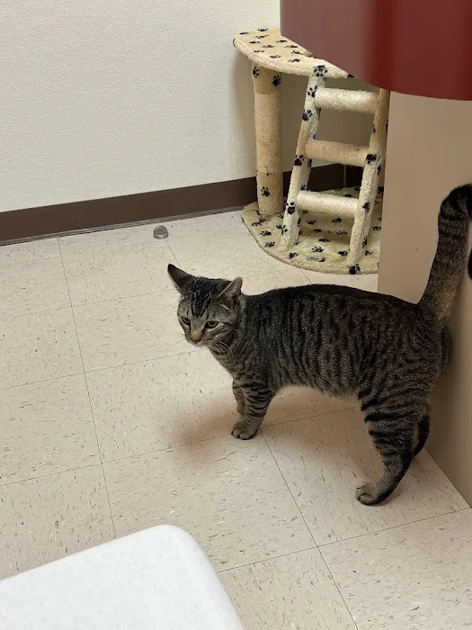 Norris Veterinary Animal Hospital Picture 2