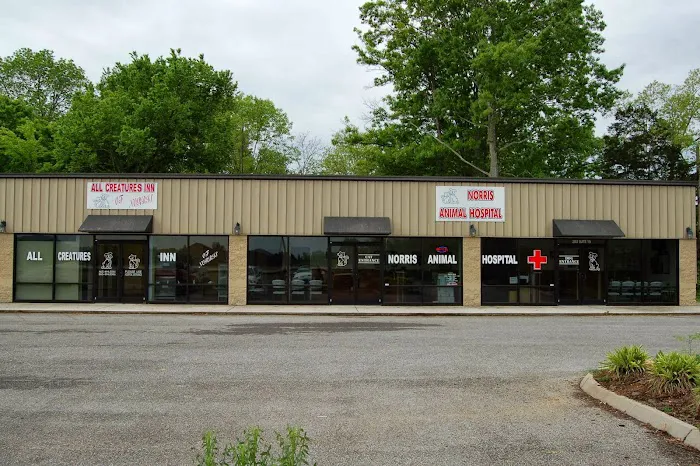Norris Veterinary Animal Hospital Picture 4