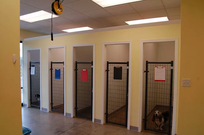 Norris Veterinary Animal Hospital Picture 5