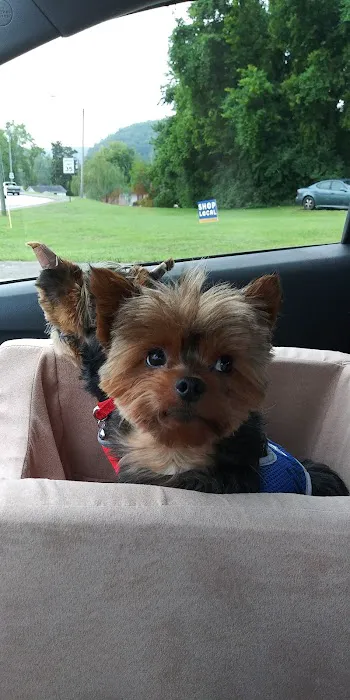 Clinton Animal Hospital Picture 2