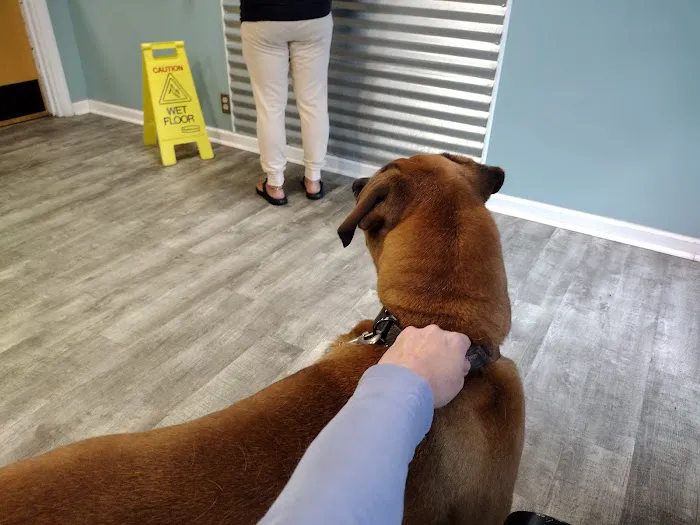 Clinton Animal Hospital Picture 6
