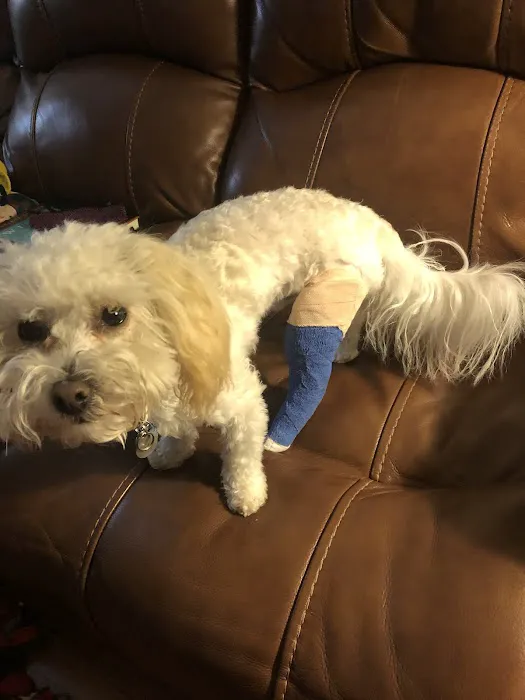 Clinton Animal Hospital Picture 10