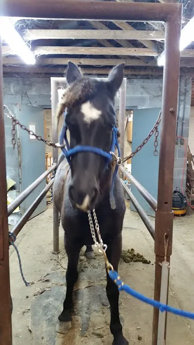 Upchurch Animal Clinic Picture 9