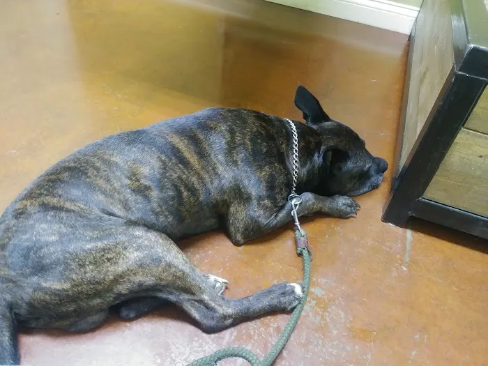 Coffey's Vet Center Picture 5