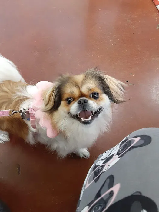 Coffey's Vet Center Picture 2