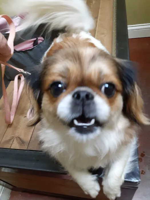 Coffey's Vet Center Picture 8