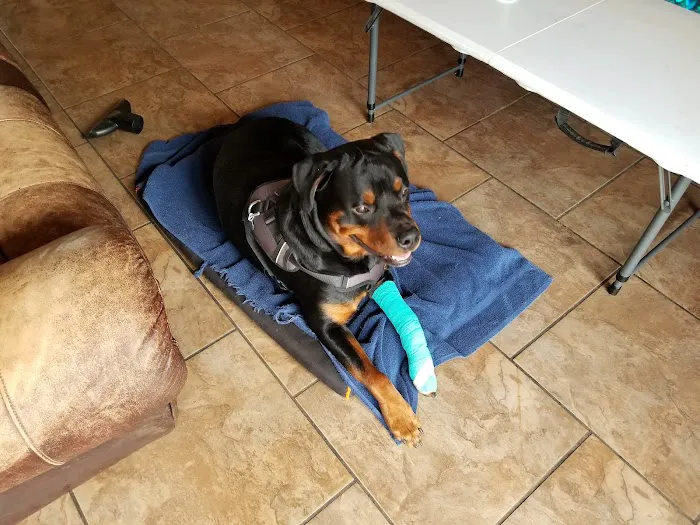 Coffey's Vet Center Picture 6