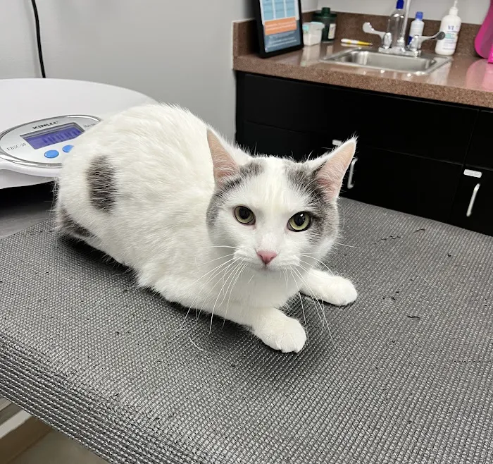 Adair County Animal Hospital Picture 2