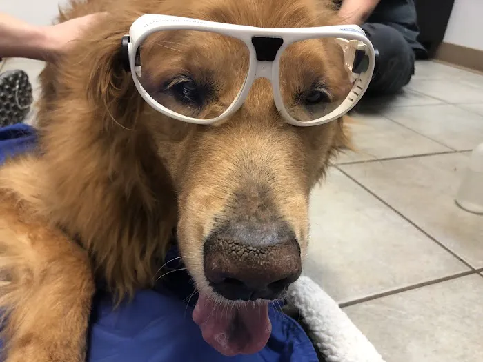 Adair County Animal Hospital Picture 5