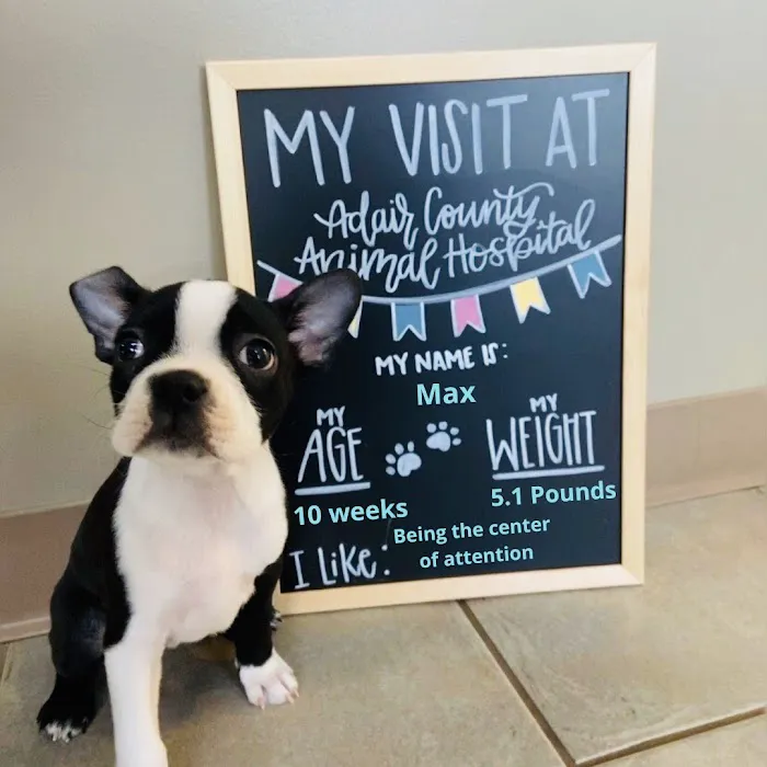 Adair County Animal Hospital Picture 8