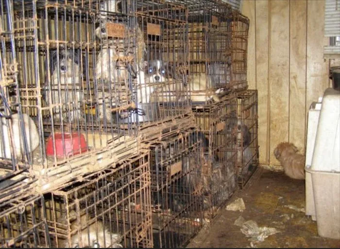 Adair County Animal Hospital Picture 9