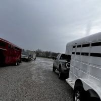 Twin Lakes Veterinary Services ico