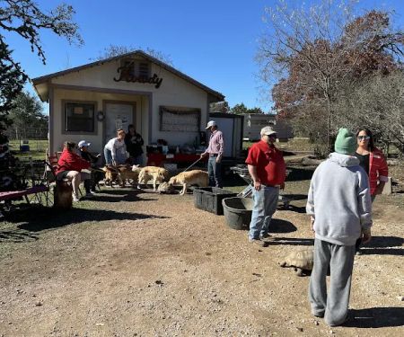 Alldredge Veterinary Services