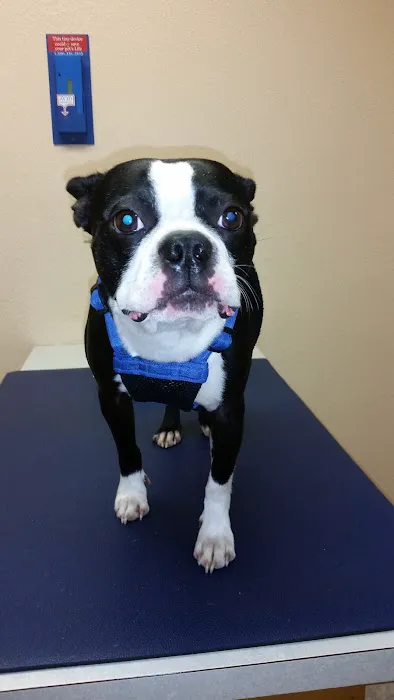 Lindner Animal Hospital Picture 9