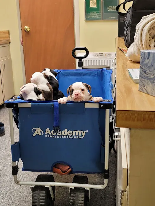 Fort Branch Veterinary Hospital Picture 2