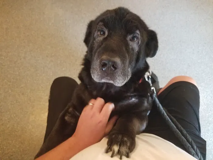 Fort Branch Veterinary Hospital Picture 6