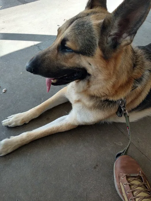 Fort Branch Veterinary Hospital Picture 7
