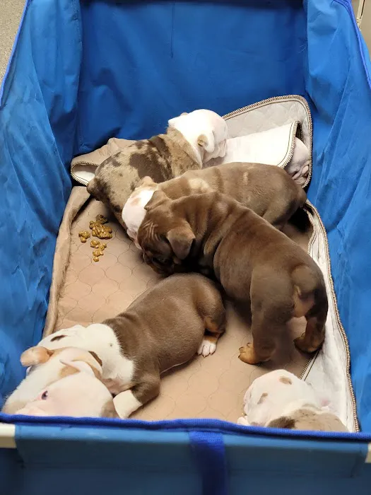 Fort Branch Veterinary Hospital Picture 10