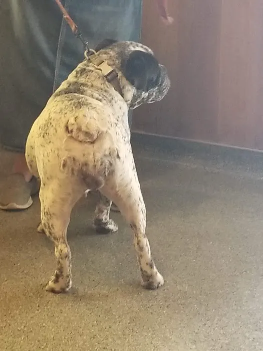 Fort Branch Veterinary Hospital Picture 9