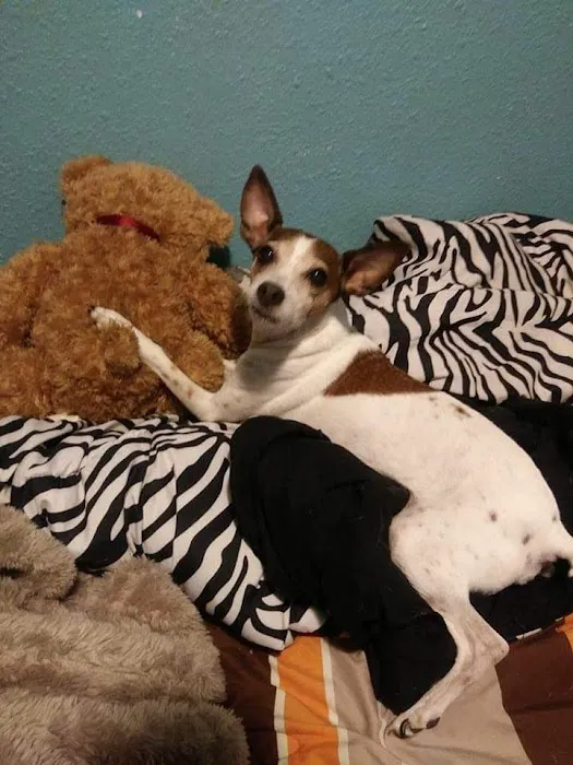 Epperson Veterinary Services Picture 7