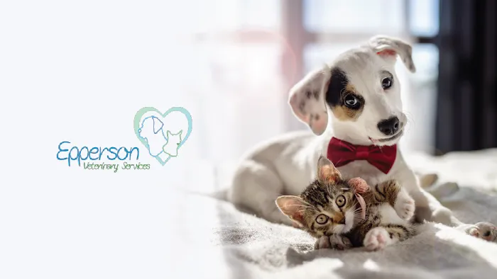 Epperson Veterinary Services Picture 9