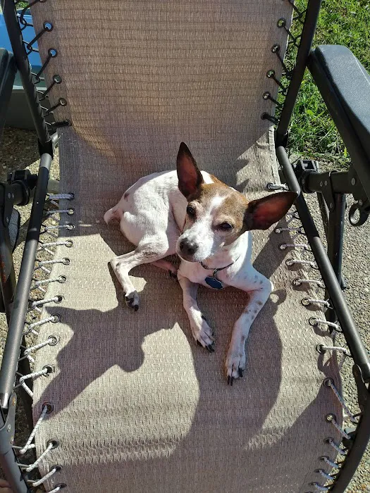 Epperson Veterinary Services Picture 8