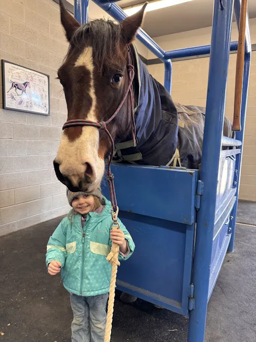 Stone Ridge Equine Care Picture 1